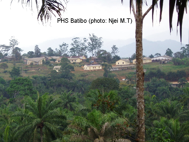 PHS Batibo (photo: Njei M.T)